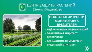 Некоторые хитрости мониторинга вредителей