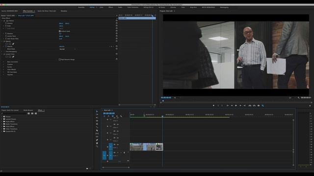 FREE SWISH TRANSITION PRESET | Tutorial | Adobe Premiere Pro CC | Editing Made Easy [Ep.6] смотреть онлайн