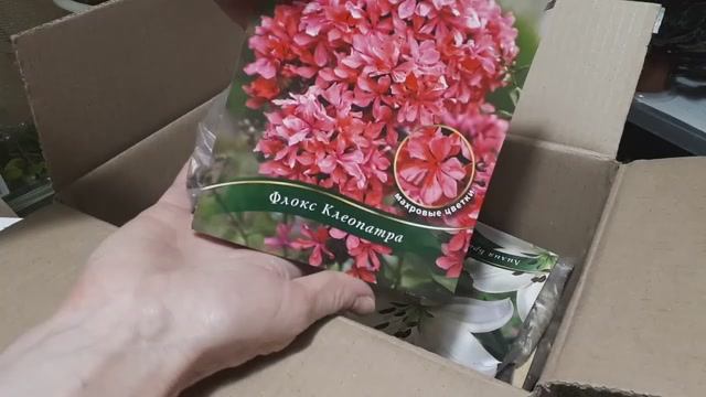 Посылка с ЦВЕТАМИ (многолетники)! Распаковка!