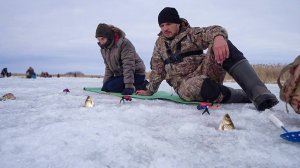 Ловля карася в конце марта Семейная рыбалка весной