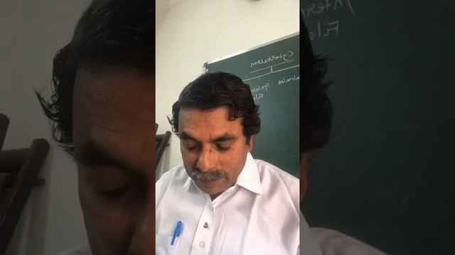 Leadership Qualities смотреть онлайн