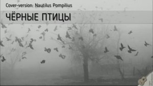 ЧЁРНЫЕ ПТИЦЫ