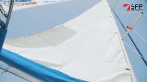 Travel Regatta. Travel Business Cup 2019