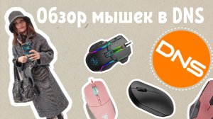 Обзор мышек в DNS