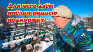 ПОДКОРМКА МЕДОВОЙ СЫТОЙ РАННЕЙ ВЕСНОЙ ПАКЕТАМИ., СТИМУЛЯЦИЯ МАТКИ.