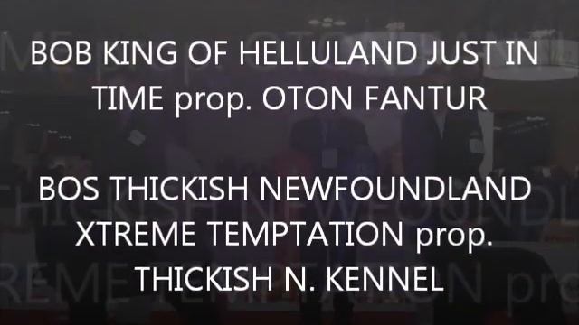 BOB & BOS смотреть онлайн