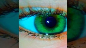 /// А ты прости мои глаза - { speed up}///