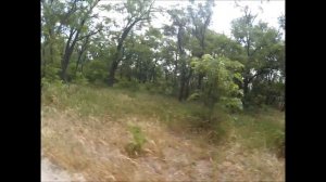 Кимбурская Коса