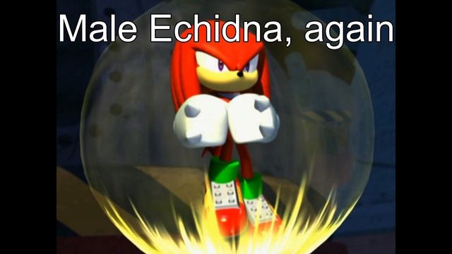 "Only Male Hedgehogs Can Be Super" Sayeth The Liar Part 1 смотреть онлайн