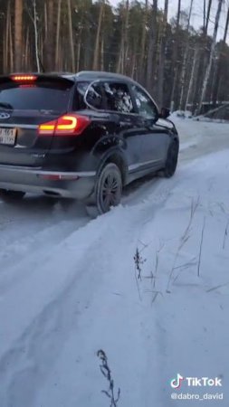 Поездка в лес