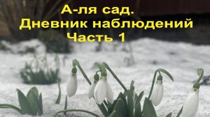 А-ля сад! Дневник наблюдений. Часть первая.