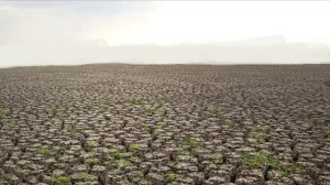 03 Фиргавен күргән төшләр