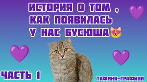 😻Откуда взялась Бусинка ? 🤔