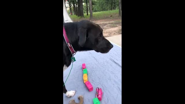 New Project смотреть онлайн