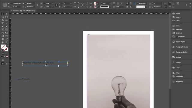 Design Book Cover With Random Picture In Adobe Indesign.