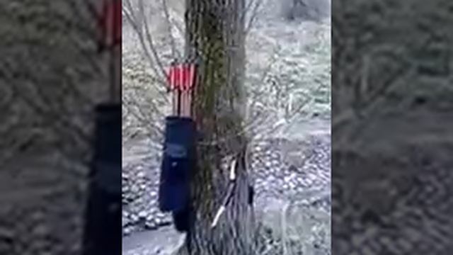 Гун и. Искусство стрельбы из лука. Местность