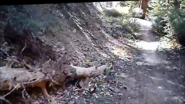 Big Bear Lake MTB POV - Cabin 89 Trail, Part 1 of 2 смотреть онлайн