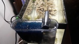 Sunsun HBL-302 modifiye