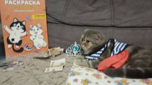 Раскраска а ну-ка давай-ка! 😺