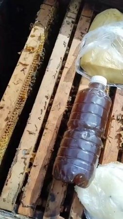 Сироп в пакеты можно не наливать пчелам,а использовать бутылки сиропом.