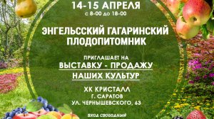 Энгельсский ГАГАРИНСКИЙ плодопитомник. О нашем питомнике.