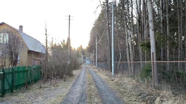 АНАСТАСИЯ. Если я подобрал птицу. Фрифлай смотреть онлайн