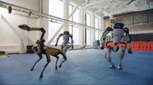 УГРОЗА КОЖАННЫМ МЕШКАМ