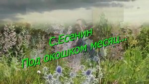 Колодезянские бабушки круче "бурановских",они вживую поют!