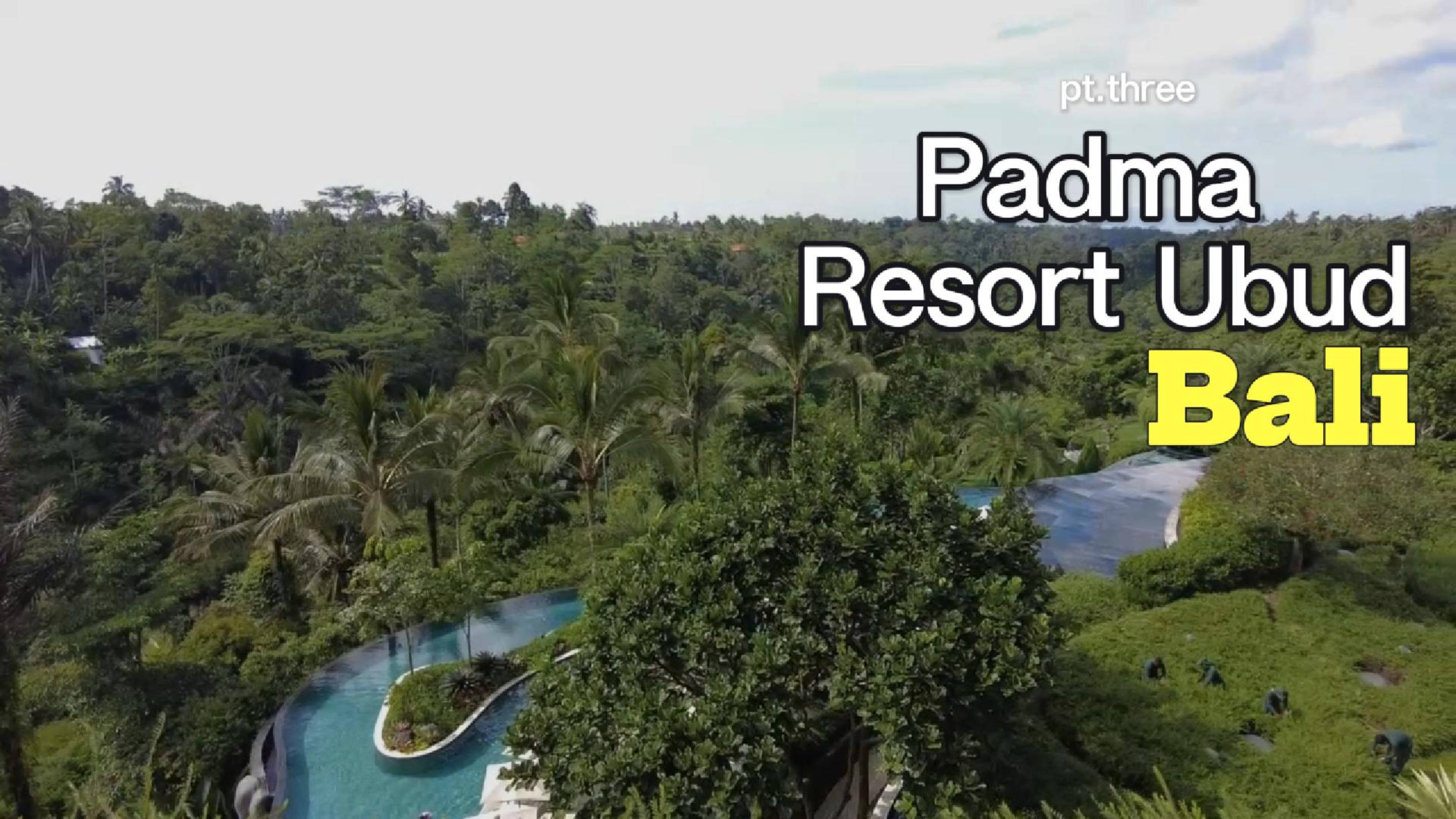 Отель Padma Resort Ubud Bali. Tegalalang Rice Terrace