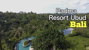 Отель Padma Resort Ubud Bali. Tegalalang Rice Terrace