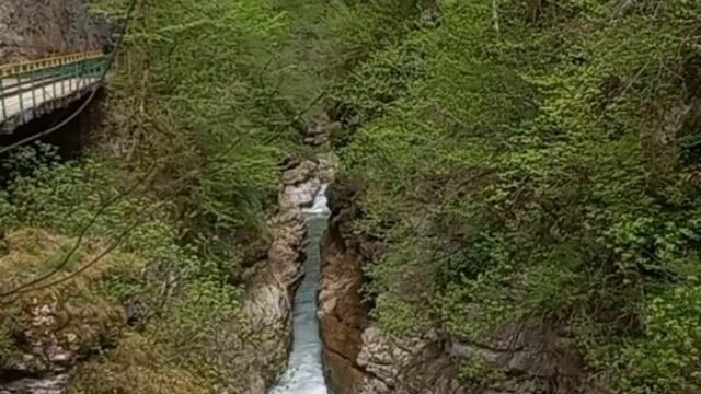 кавказ