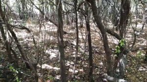 6.Переехали на Юг. Мечта сбылась. Пошли мы....