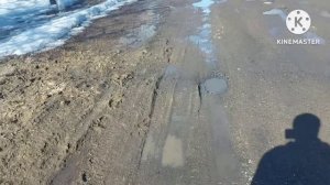 Жизнь в селе#Казахстан#Ваську на мясо.Похолодало.