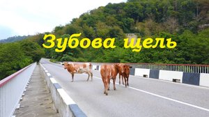 Укромные Сочинские местечки. Зубова щель.