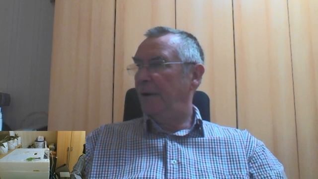 WZN Wachteleier Bingo 2. Das Ergebnis смотреть онлайн