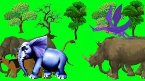 Cartoon animal stampede green screen video no copyright