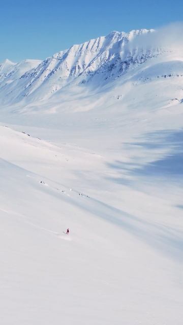 #PolarUral смотреть онлайн