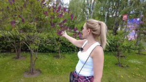 Что посмотреть на ВДНХ