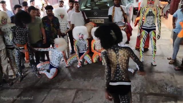 Tiger Dance| Shri Sai Friends | ಮಂಗಳೂರು ಹುಲಿವೇಷ | смотреть онлайн