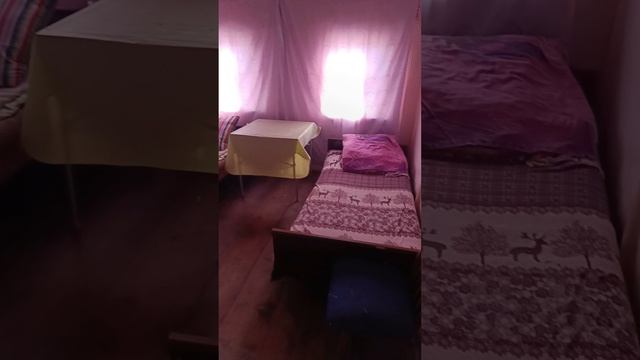 Огород.mp4