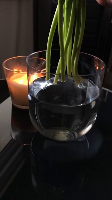 Тюльпаны смотреть онлайн