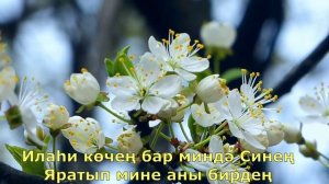 106 Гайсә, Син мине саф кочагыңда