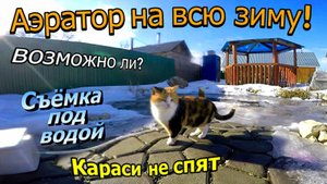 Компрессор на всю зиму \ Возможно ли? \ Какие планы? \ Съемка под водой \ Караси не спят (зима 2020)
