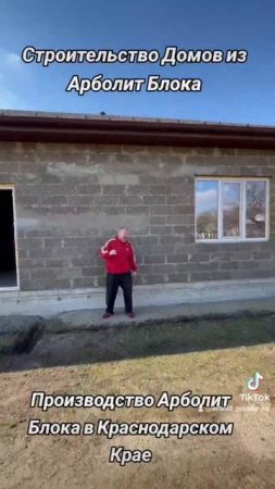 строительство домов из арболит блока