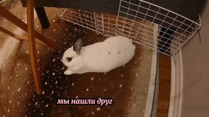 Узнал об измене жены! Спустя время я отомстил… - Удивительные истории, Измена Жены - Драмы Судьбы