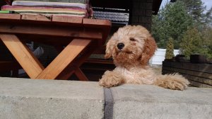 20250322_144518~3[1]