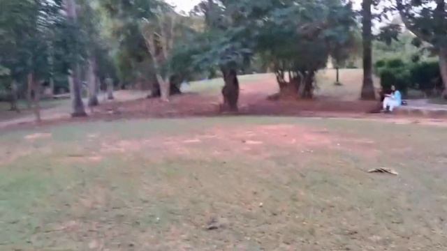 Biju Patnaik Park / Forest Park / Bhubaneswar #Bijupatnaikpark #forestpark смотреть онлайн