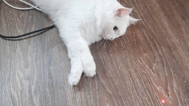 лазерная игрушка