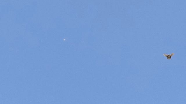 24.03.2025Г.Подул восток.Перекличка.