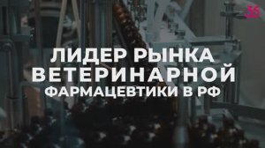 Группа компаний ВИК сегодня